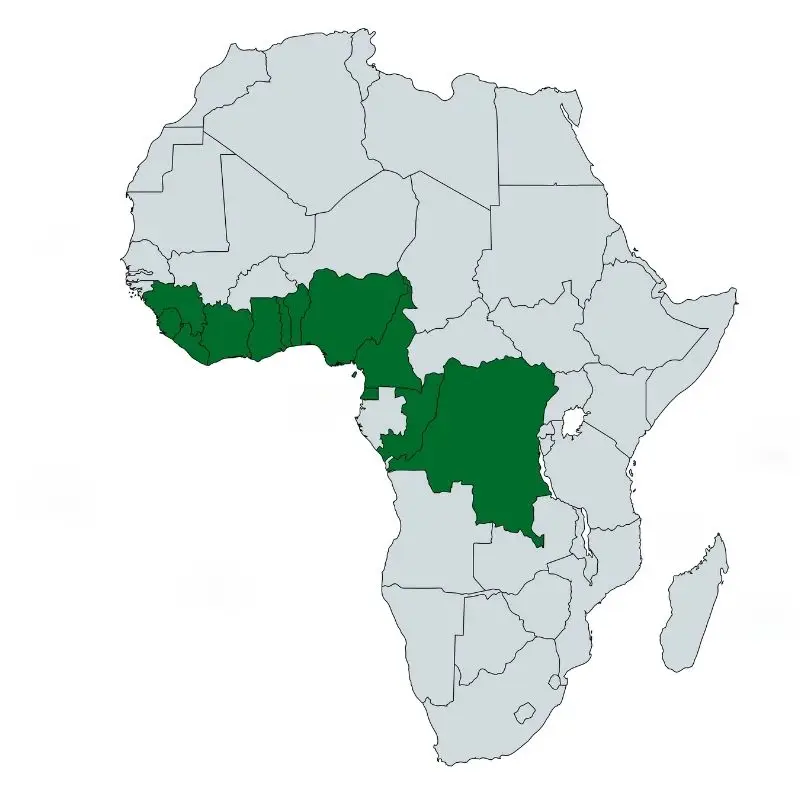 Carte habitat naturel Killie (Aphyosemion sp.), Afrique, bassins fluviaux