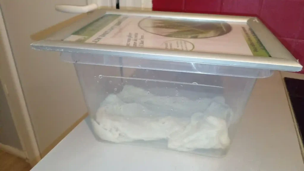 Boîte quarantaine vers de terre poisson aquarium
