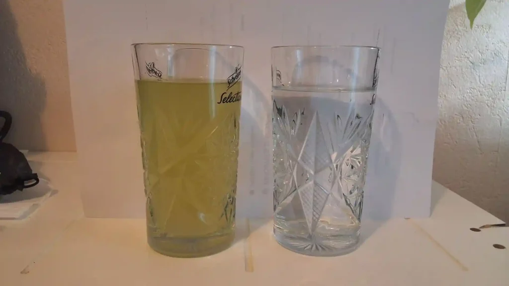 Lumière excessive + Nitrates élevés = Eau verte