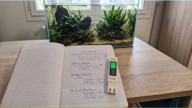 Mon aquarium perd de l&rsquo;eau : fuite ou évaporation ? (J&rsquo;ai mesuré)