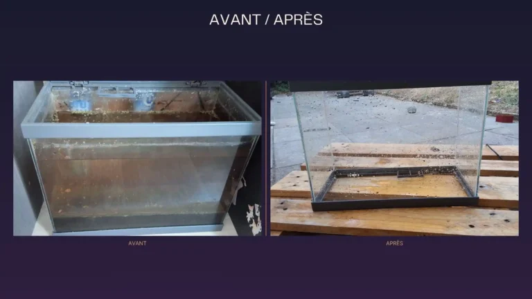 Nettoyer un aquarium d&rsquo;occasion très sale : le guide de sauvetage (et l&rsquo;erreur fatale à éviter)